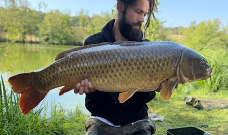 A carp from Autels, Jul 2026