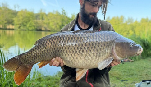 A carp from Autels, Jul 2026