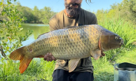 A carp from Autels, Jul 2026