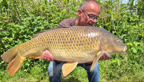 A carp from Autels, May 2026