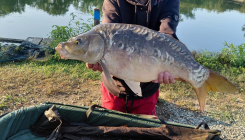 A carp from Autels, Jul 2026