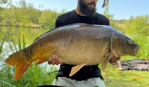 A carp from Autels, Jul 2026