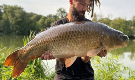 A carp from Autels, Jul 2026