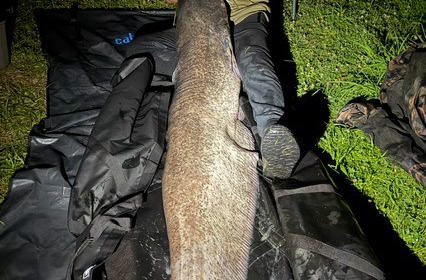A carp from Autels, Jul 2026