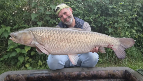 A carp from Autels, May 2026