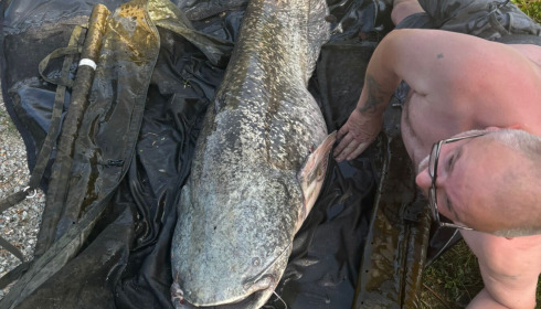 A 100 lb catfish from Autels, 115llb, Aug 2026