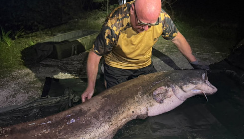 A 87 lb catfish from Autels, Mark Hastings, Sep 2026