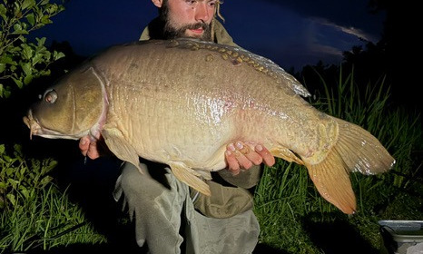 A carp from Autels, Jul 2026