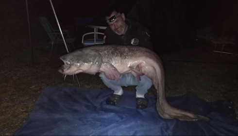 A carp from Autels, May 2026