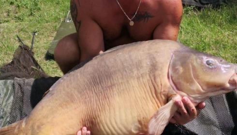 A 68 lb carp from Beaurepaire, Andy Sherman, Jul 2020