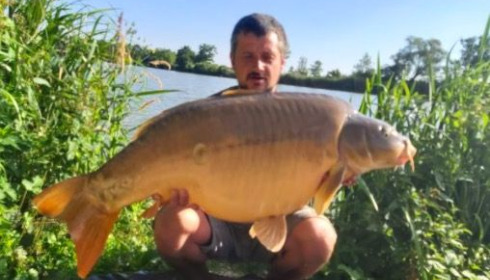 A fish from Jonchery, Mirror, Jun 2020