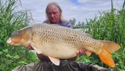 A 51 lb 10 oz fish from Jonchery, Common, Jun 2020