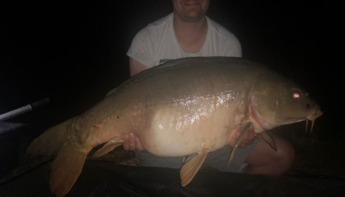 A carp from Lepinet South, scillitoe, Jul 2020