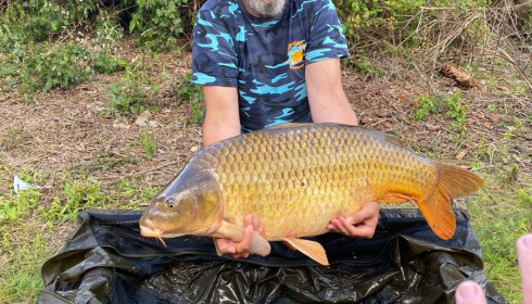A carp from Lepinet South, scillitoe, Jun 2020