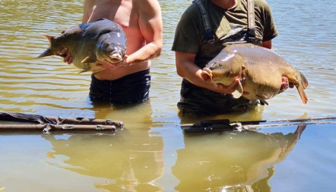 A fish from Lillypool, Mark and Pip, Jul 2020