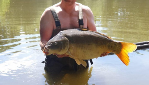 A 30 lb carp from Lillypool, Mark, Jul 2020