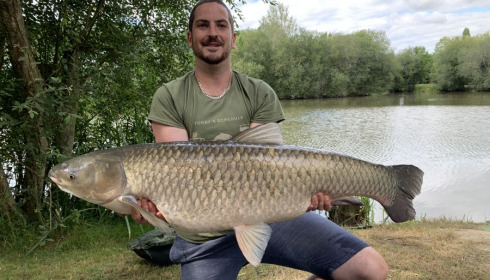 A 31 lb grass carp from Lillypool, Mike Wigmore, Jul 2020