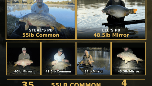 A carp from Ragon, Overview, Sep 2026