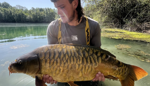 A carp from Evaro, Jun 2026