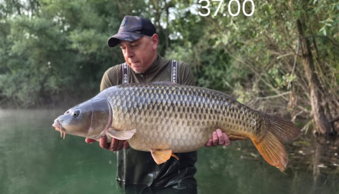 A 37 lb carp from Evaro, Swim 2, Aug 2026