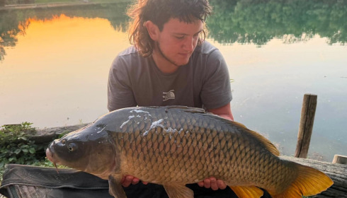 A carp from Evaro, Jun 2026