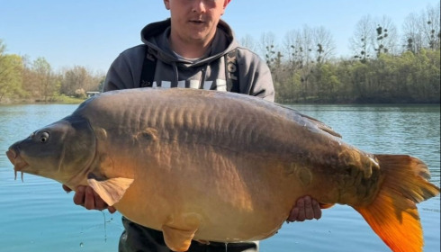 A carp from Evaro, Mar 2026