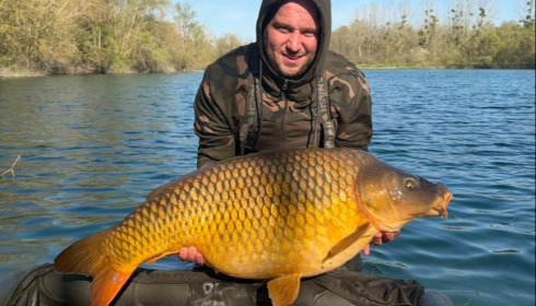 A carp from Evaro, Mar 2026