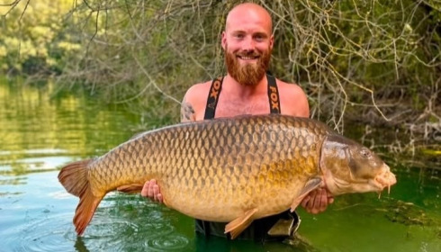 A 79 lb carp from Evaro, Swim 3, Aug 2026