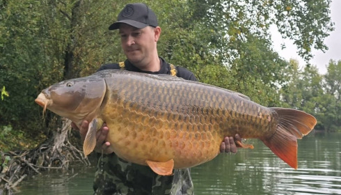 A carp from Evaro, Oct 2026