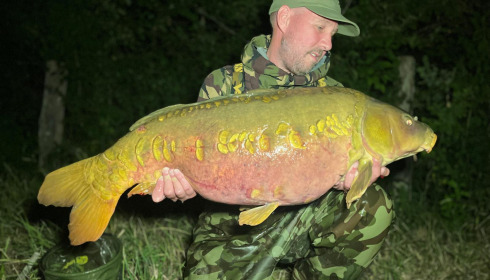 A carp from Evaro, Jul 2026