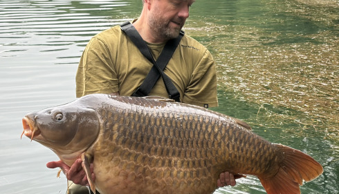 A 61 lb 12 oz carp from Evaro, The 61.12 common, May 2026