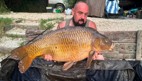 A 43 lb carp from Evaro, 43lb common, Jun 2026