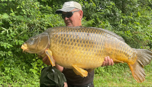 A carp from Evaro, Jun 2026