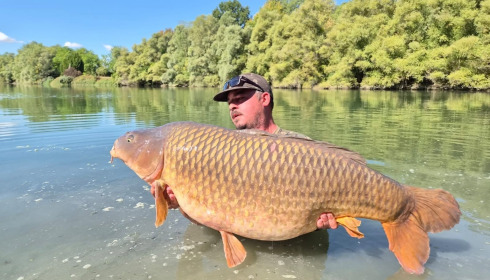 A carp from Evaro, Sep 2026