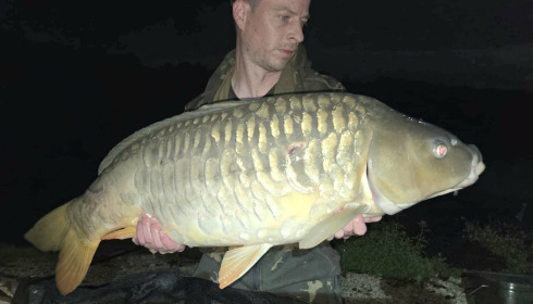 A carp from Renarde, Sep 2026