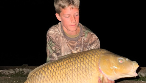 A carp from Renarde, Aug 2026