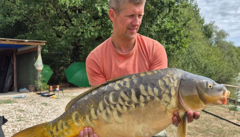 A carp from Renarde, Aug 2026