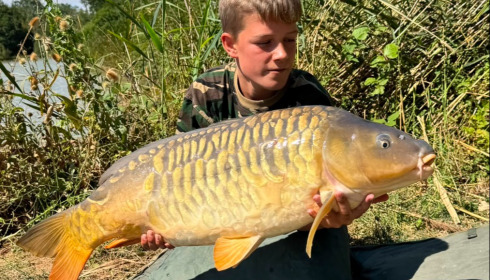 A carp from Renarde, Aug 2026