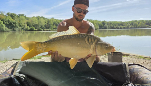 A carp from Renarde, Sep 2026