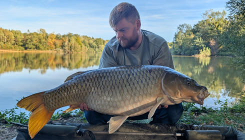 A carp from Renarde, Sep 2026
