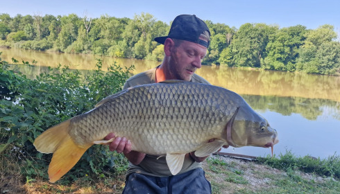 A carp from Renarde, Jul 2025