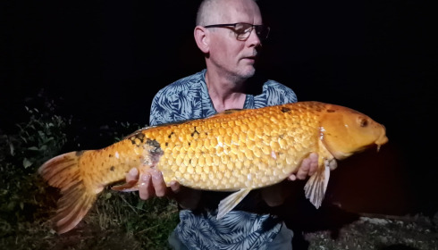 A carp from Renarde, Jul 2025