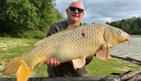 A carp from Renarde, May 2026