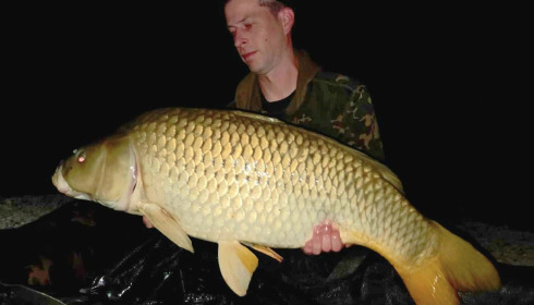 A carp from Renarde, Sep 2026