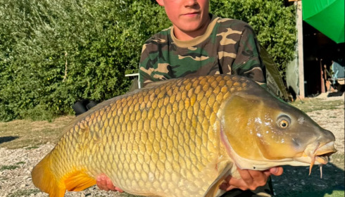 A carp from Renarde, Aug 2026