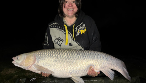 A carp from Renarde, May 2026