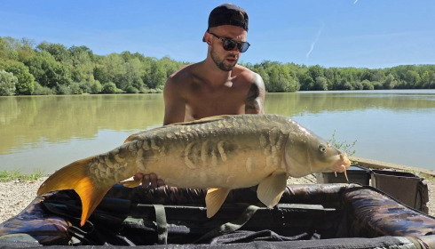 A carp from Renarde, Sep 2026