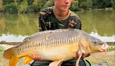 A carp from Renarde, Aug 2026