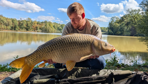 A carp from Renarde, Sep 2026