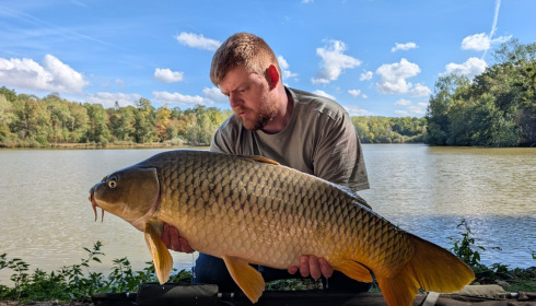 A carp from Renarde, Sep 2026